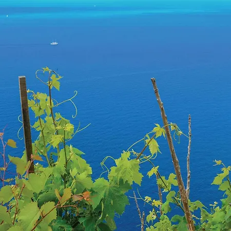 Lejlighed Stunning In With House Sea View Janjina